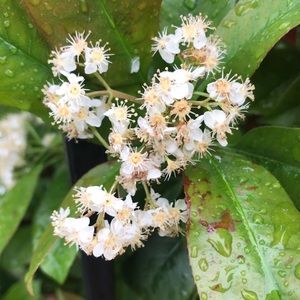 Meet your Posher, Omar